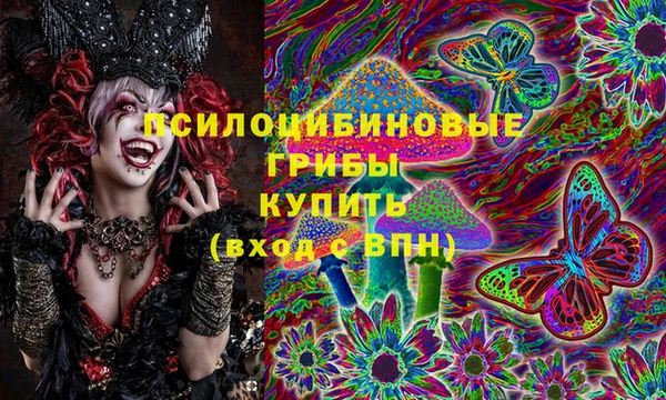 ECSTASY Алзамай
