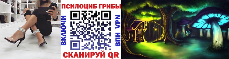 наркота  МЕГА ссылка  Псилоцибиновые грибы MAGIC MUSHROOMS  Дудинка 